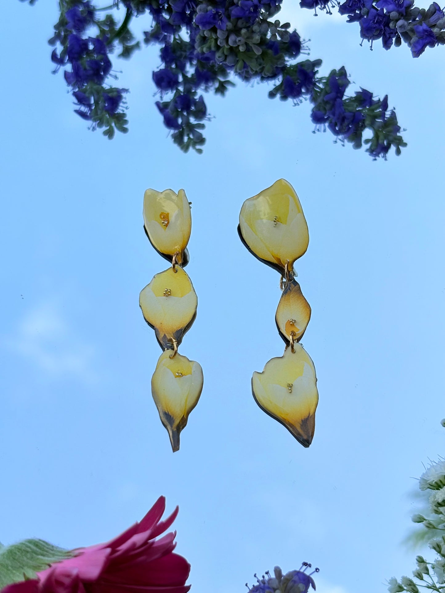 TulipeChou