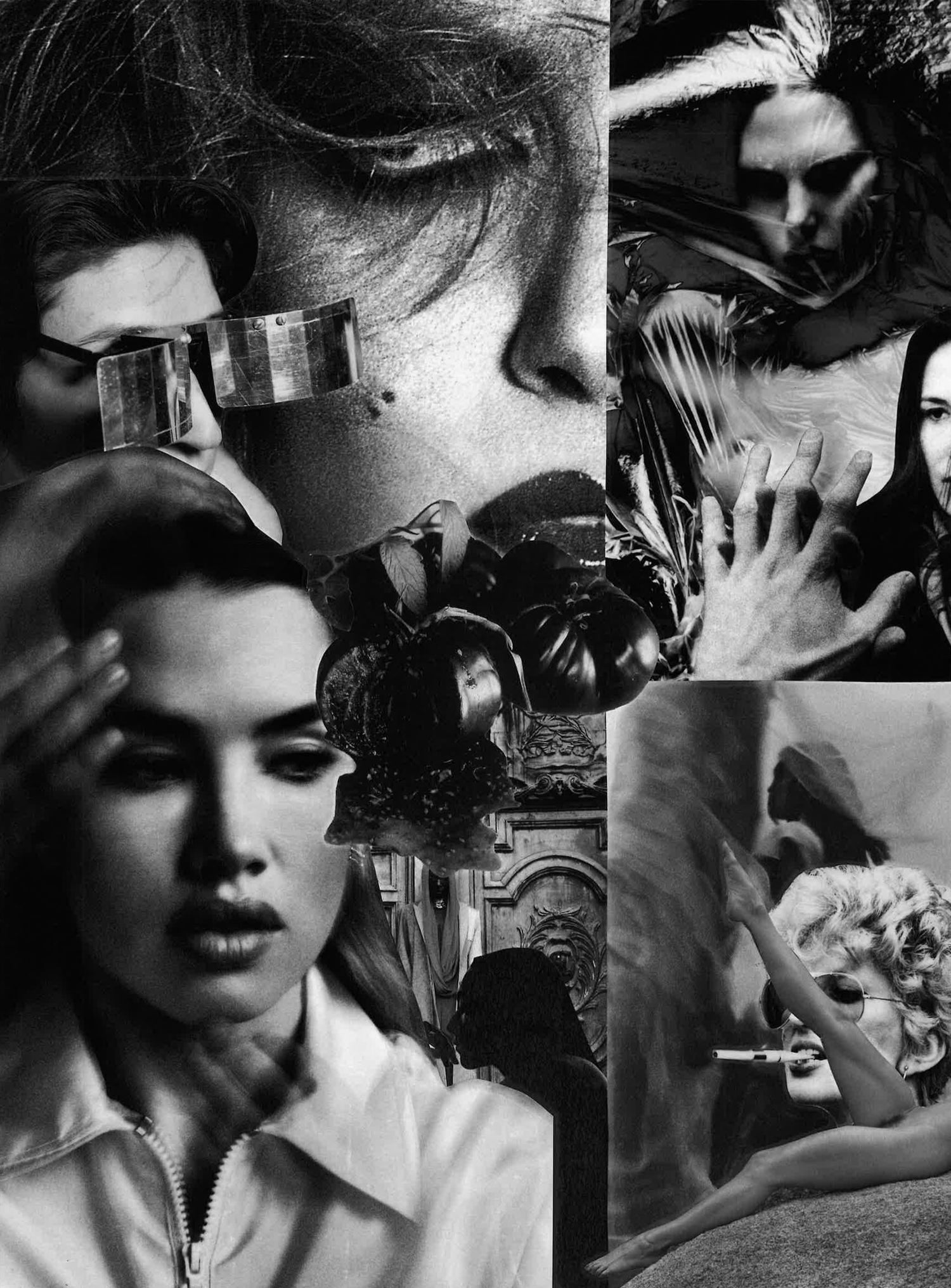 Papier Vivant / Living Collage