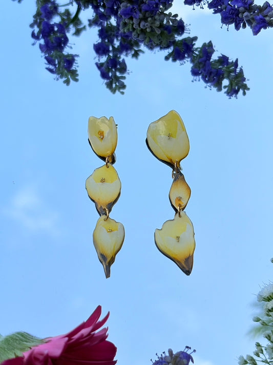 TulipeChou