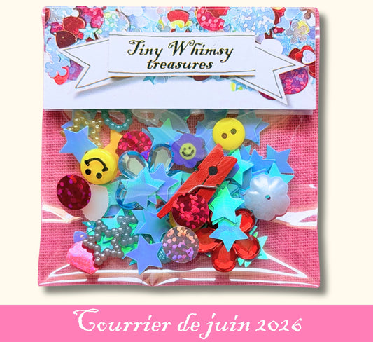 Pochette whimsy juin